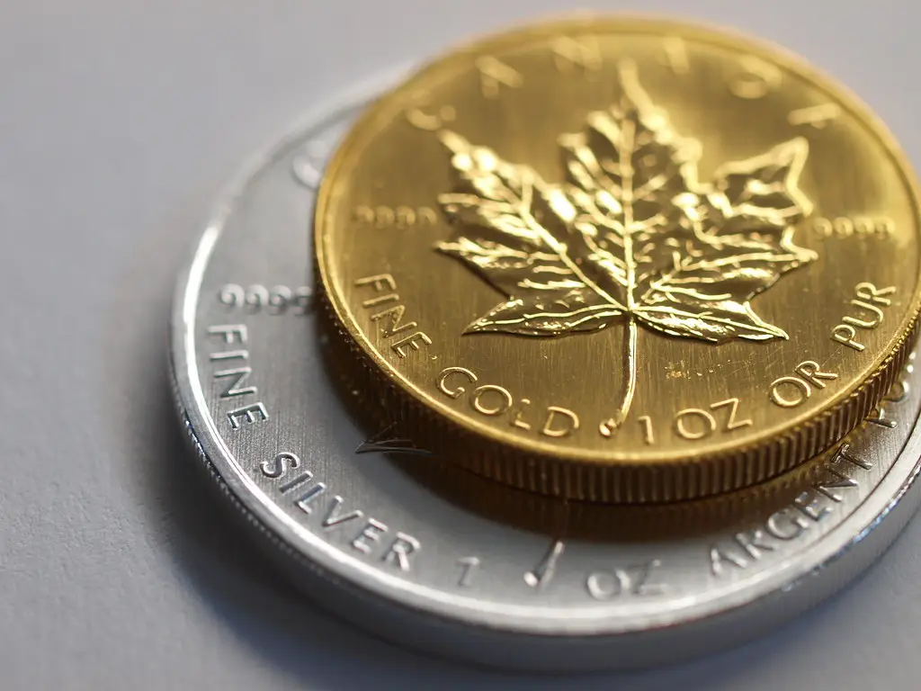 Gold Maple and Silver Dollar